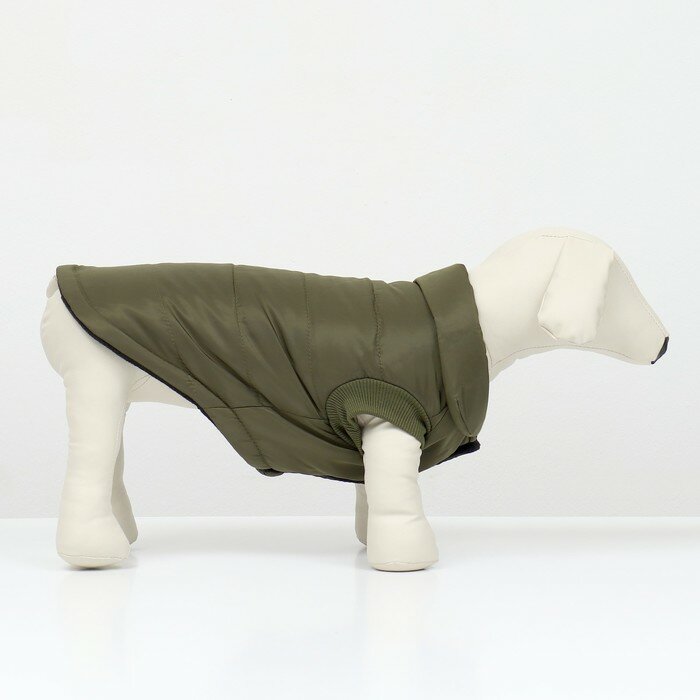 Куртка для собак "Прятки", размер XL (ДС 40, ОГ 50, ОШ 40 см), зелёная - фотография № 2