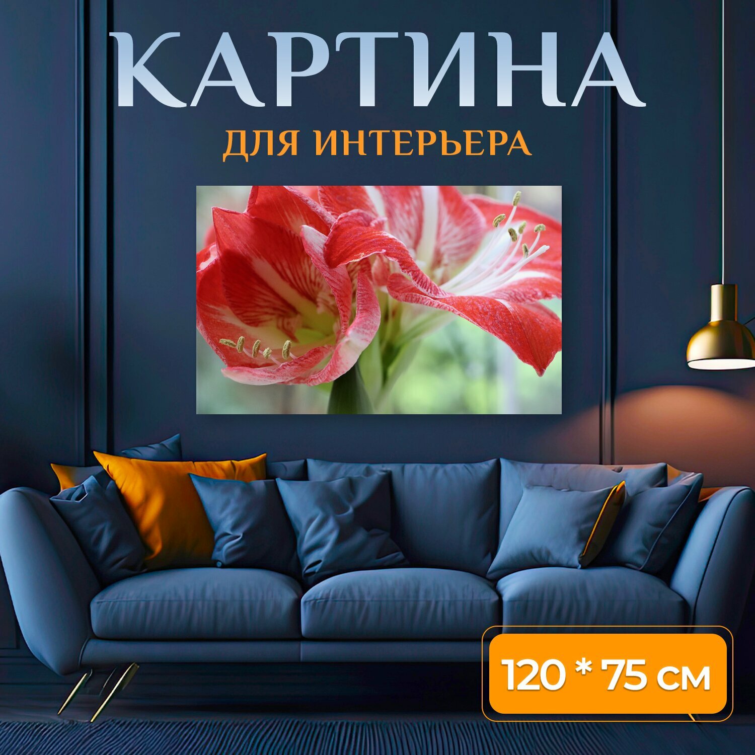 Картина на холсте "Амариллис, цветок амариллиса, красный белый" на подрамнике 120х75 см. для интерьера