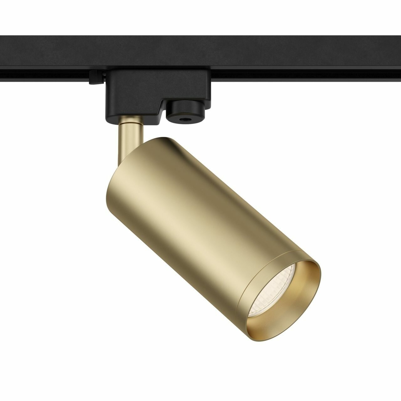 Трековые светильники Maytoni Track Lamps TR004-1-GU10-MG