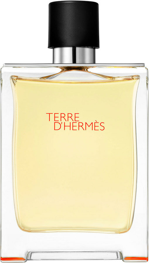 Hermes Terre D'Hermes   50