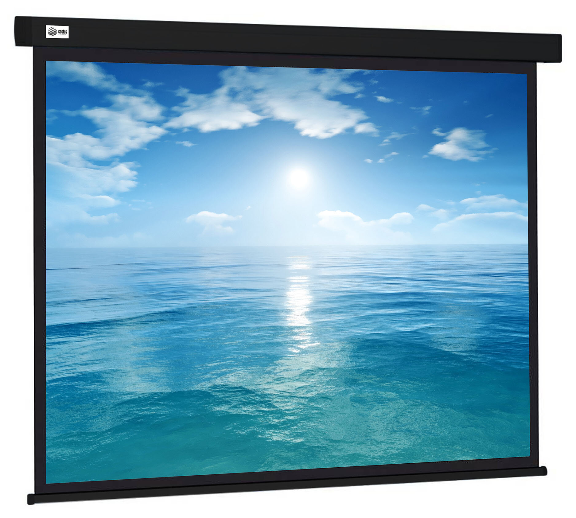 Рулонный cactus Wallscreen CS-PSW-104X186-BK