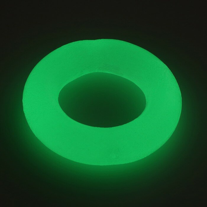 Игрушка для собак "Кольцо", светящаяся в темноте, 9,5 см - фотография № 2