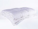 Пуховое одеяло Natures Воздушный вальс, теплое 220х240 см - изображение
