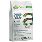 Holistic dog сухой корм для взрослых собак Adult Chicken & Duck + Aloe vera & Ginseng Medium 2 кг - изображение