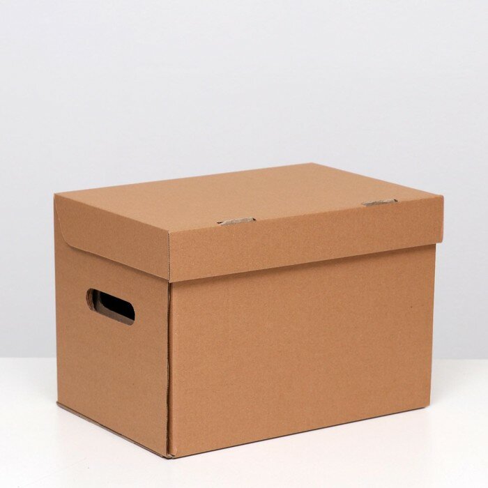 Коробка для хранения "А4", бурая, 32,5 x 23,5 x 23,5 см - фотография № 1