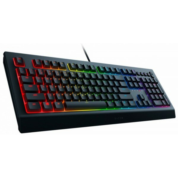 Razer Cynosa V2 RZ03-03400700-R3R1