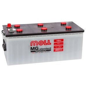 Moll MG Standard 196  1246 euro