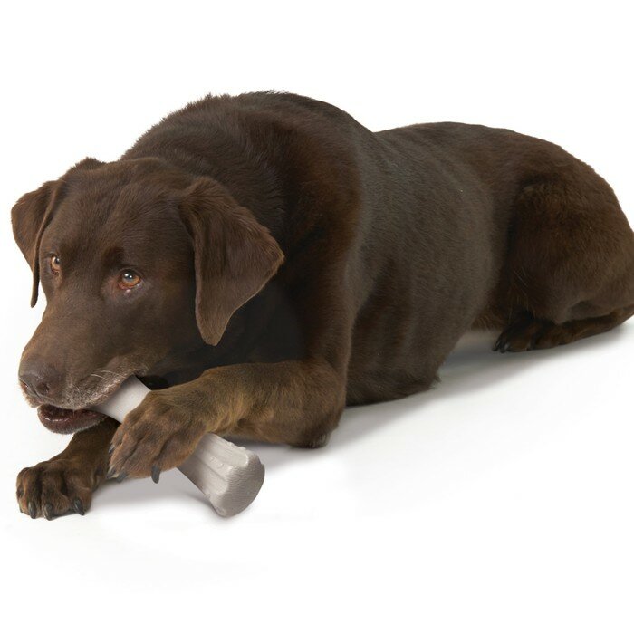 Игрушка Petstages Deerhorn для собак, с оленьими рогами большая (2 шт) - фотография № 3
