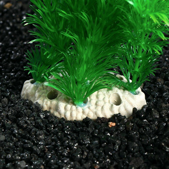 Пижон Аква Растение искусственное аквариумное - фотография № 2