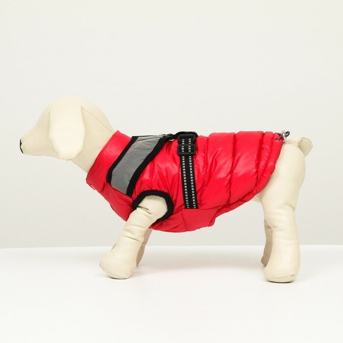 Куртка для собак со светоотражающей шлейкой, размер 16 (ДС 36, ОГ 46, ОШ 35), красная - фотография № 4