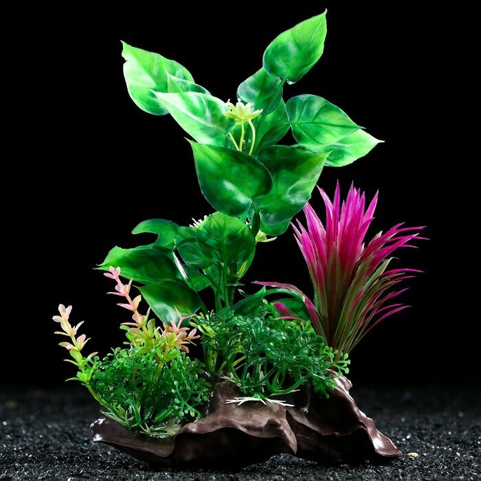 Растение искусственное аквариумное на платформе в виде коряги, 18 см, зелёно-розовое - фотография № 1