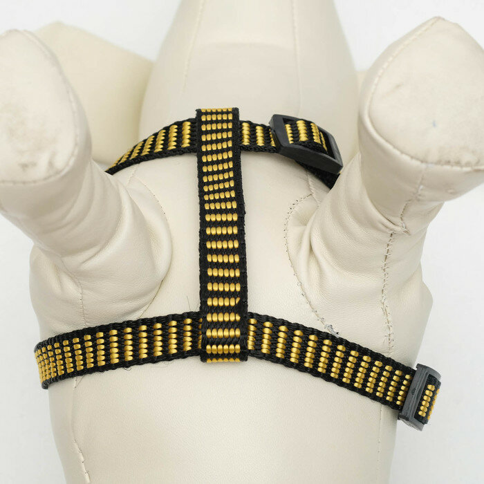 Пижон Комплект амуниции рельефный, 1,5 см, шлейка 36-49 см, поводок 120 см, жёлто-чёрный - фотография № 4