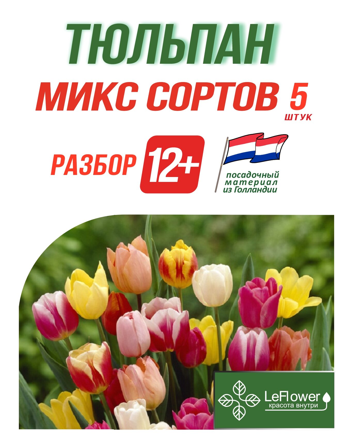 Тюльпан Луковица Микс сортов 5 шт разбор 12+ (LeFlower)