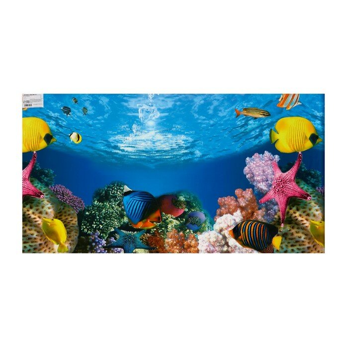 Фон для аквариума, 50 см, рулон 25 м - фотография № 1