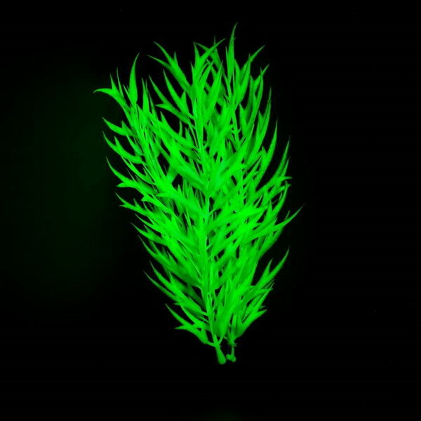 Растение искусственное аквариумное, светящееся, 20 см, зелёное - фотография № 4