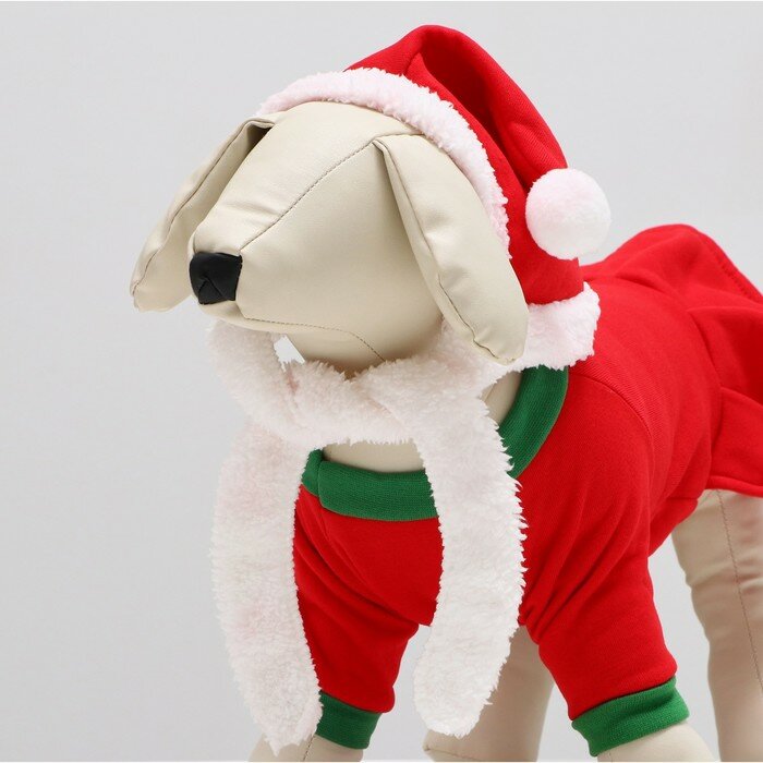 Новогодний костюм "Снегурочка" для собак, размер M, красный (ДС 26, ОШ 30, ОГ 36 см) - фотография № 5