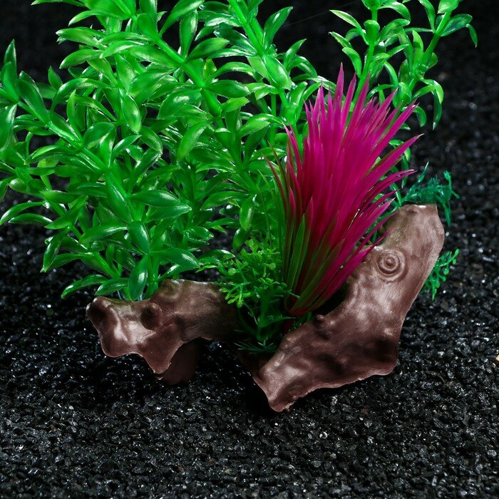 Растение искусственное аквариумное на платформе в виде коряги, 30 см, зелёное - фотография № 2
