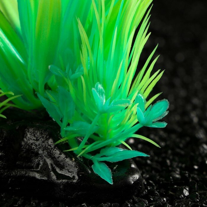 Растение искусственное аквариумное, светящееся, 10 см, зелёное - фотография № 2