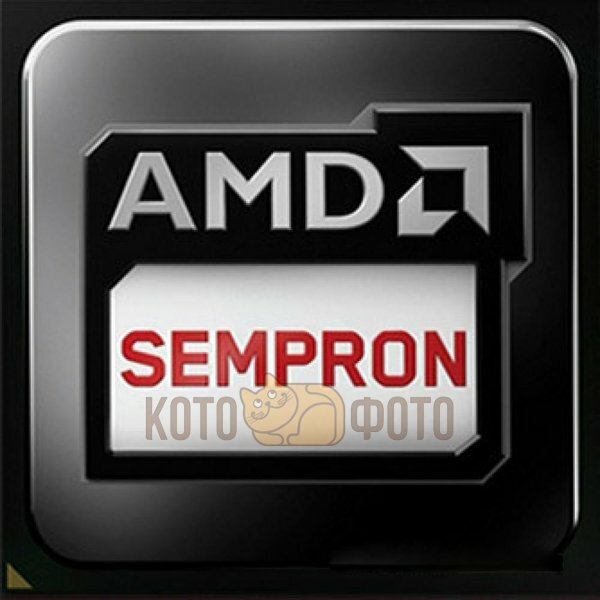 Процессор AMD Sempron X2 2650 AM1 Kabini OEM