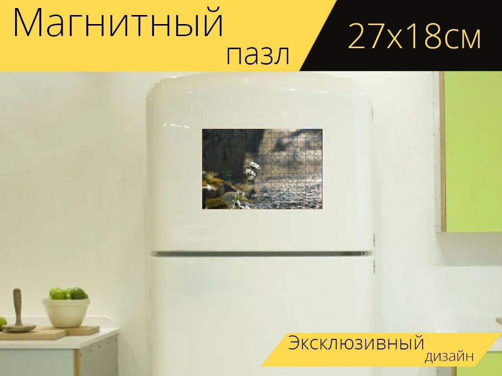 Магнитный пазл "Цветы, за пределами, природа" на холодильник 27 x 18 см.
