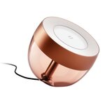 Philips Умный свет Philips Hue Iris Cooper (929002376801) - изображение