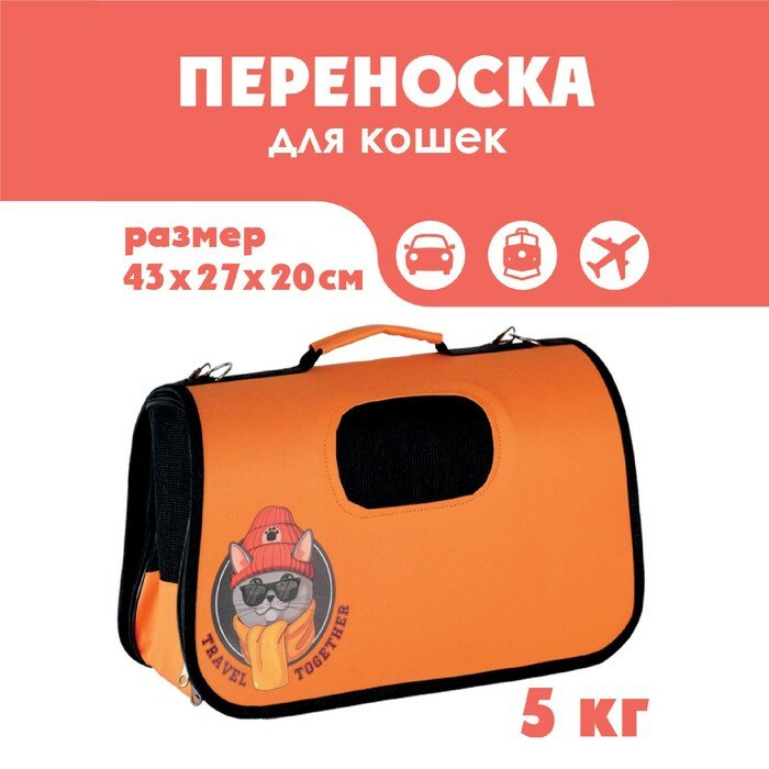 Сумка - переноска раскладная, каркасная Travel together 43x20x27 см - фотография № 1