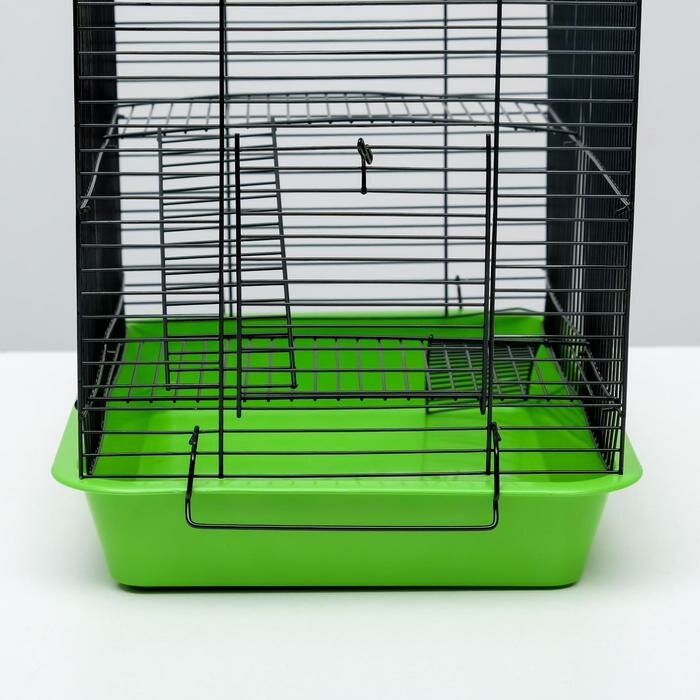 Пижон Клетка для грызунов "Пижон" №3-1, с 2-я этажами, без наполнения, 33х24х28 см, зеленый микс - фотография № 6