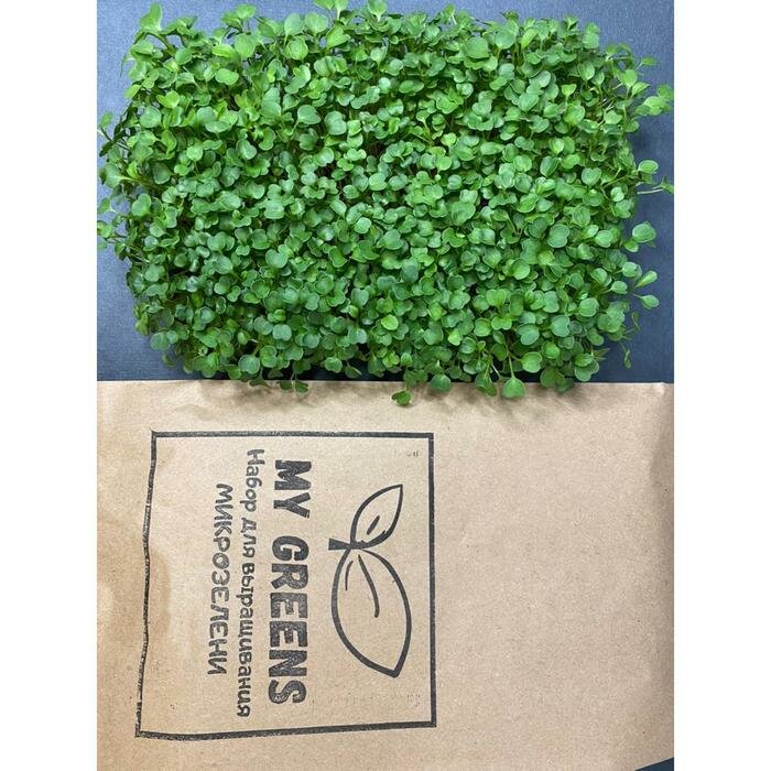 Набор для выращивания микрозелени My Greens, Рукола (5 г), лоток, джутовый коврик - фотография № 2