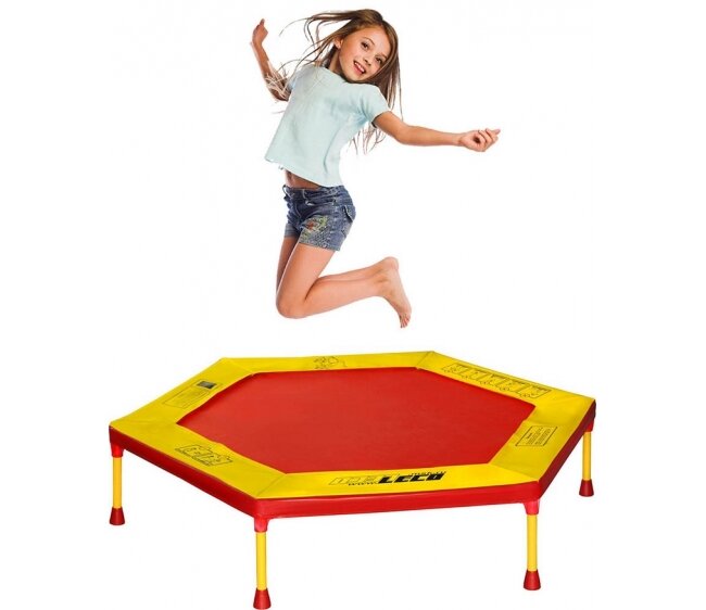 Батут Leco Home 100 см (гп6001)