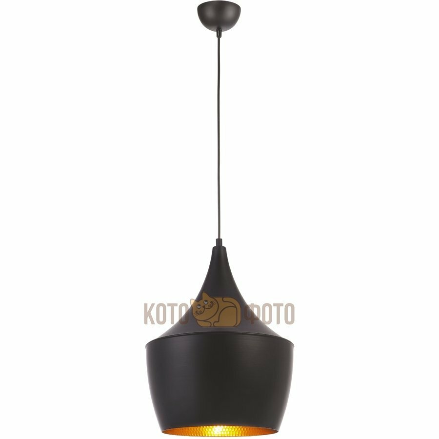 Потолочный светильник Arte Lamp Capello A3407SP-1BK E27