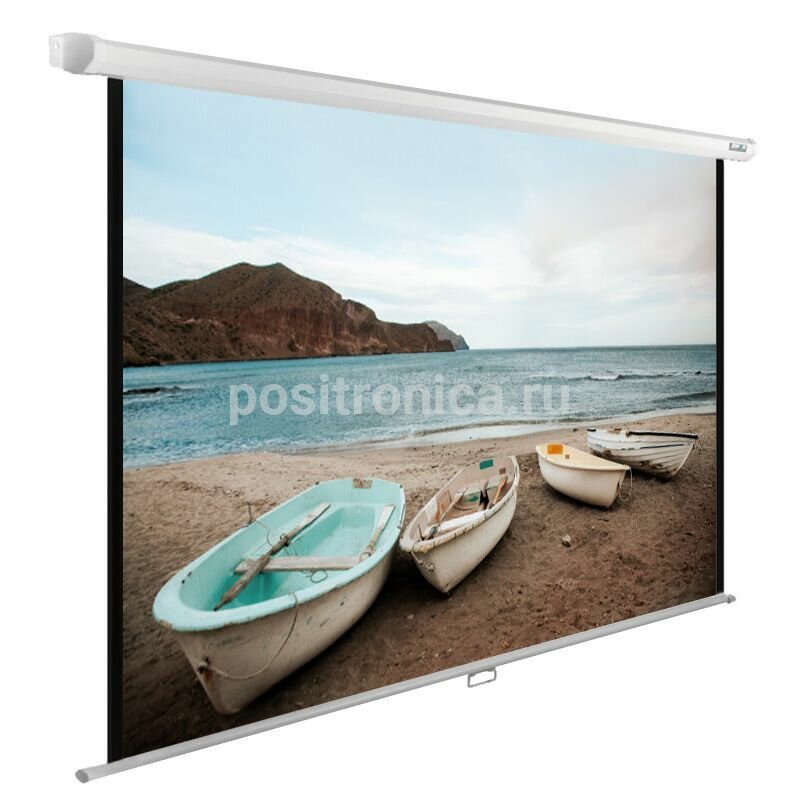 Экран рулонный Cactus WallExpert CS-PSWE-220x138-WT