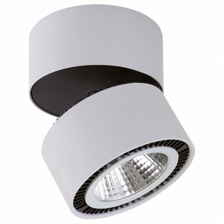 Lightstar Светильник на штанге Lightstar Forte Muro LED 214830