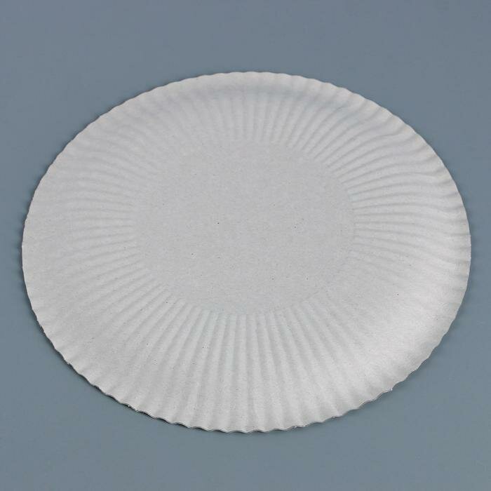 Тарелка одноразовая "Белая" 23 см (100 шт) - фотография № 3