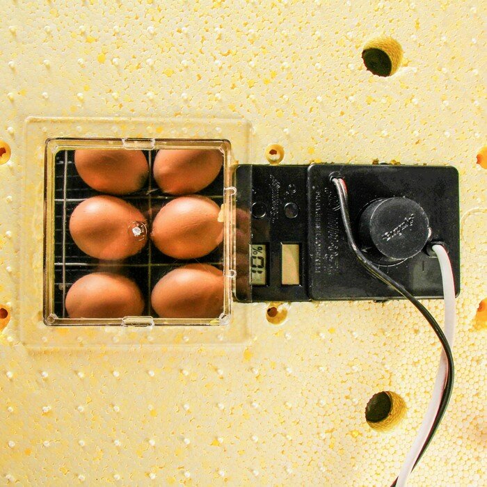 Инкубатор бытовой «Золушка», на 70 яиц, автоматический переворот, 220 В/12 В - фотография № 8