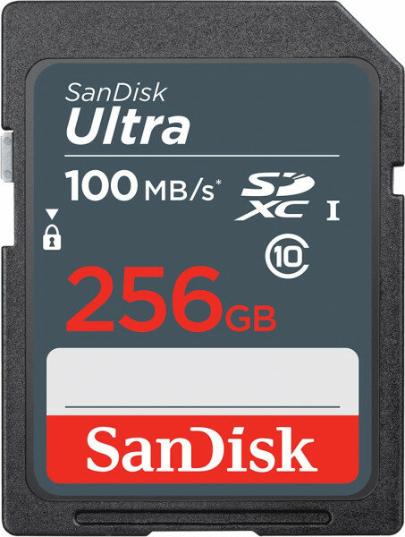 Карта памяти SANDISK SDXC 256GB SDSDUNR-256G-GN3IN