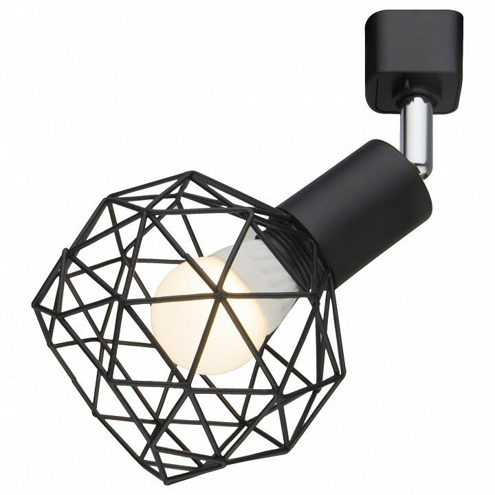 Arte Lamp Спот Arte Lamp 6141 A6141PL-1BK