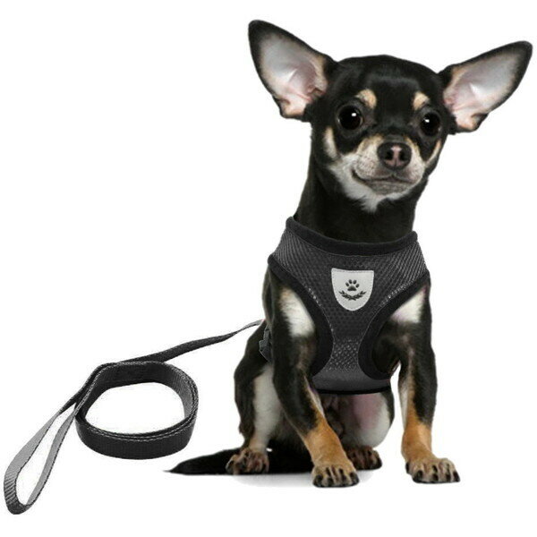 Шлейка с поводком 118см «Sweet puppy» размер M, цвет черный Ultramarine - фотография № 3