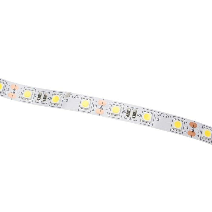 Светодиодная лента Ecola PRO, 12В, SMD5050, 1 м, IP20, 14.4Вт/м, 60 LED/м, 4200К - фотография № 4