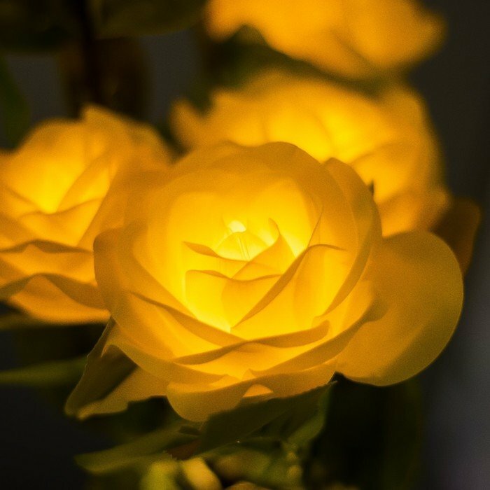 Ночник "Розы" 5хLED 4000К желтый 20х20х50см RISALUX - фотография № 4