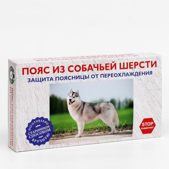 Пояс Azovmed, из собачей шерсти, круговой, 48-53 размер./В упаковке шт: 1