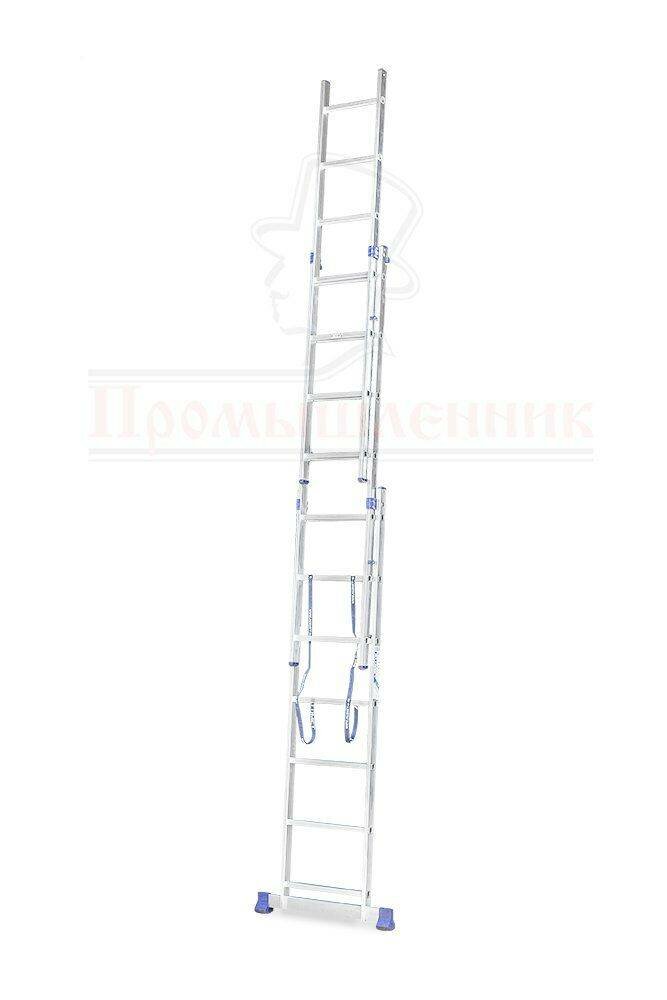 Лестница трехсекционная Alumet Ал 5307 - фотография № 2