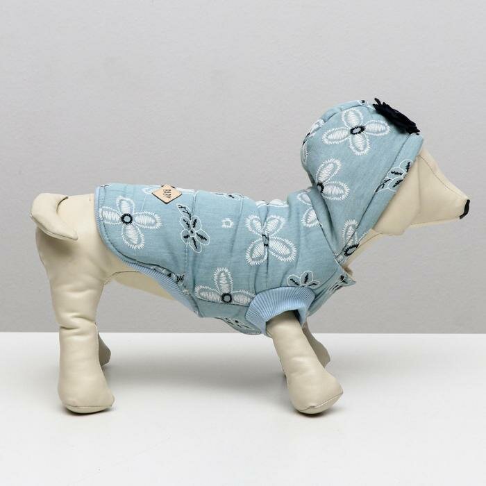 Куртка для собак с цветами, M (ДС 25 см, ОШ 26 см, ОГ 37 см), голубая - фотография № 3