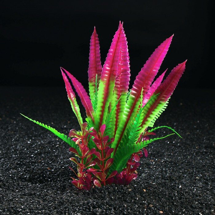 Пижон Аква Растение искусственное аквариумное, 22 х 20 х 25 см - фотография № 1