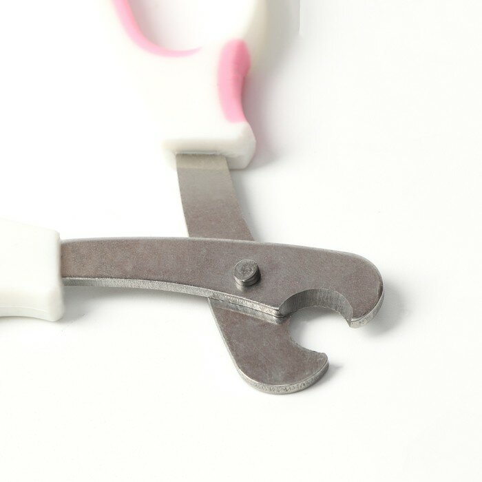 Пижон Ножницы-когтерезы средние с упором для пальца, белые с розовым - фотография № 3