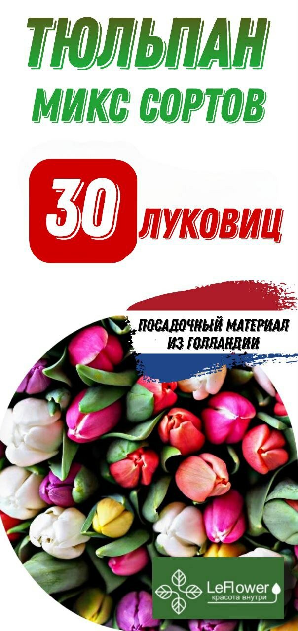 Тюльпаны смесь разных сортов 30шт. (LeFlower)