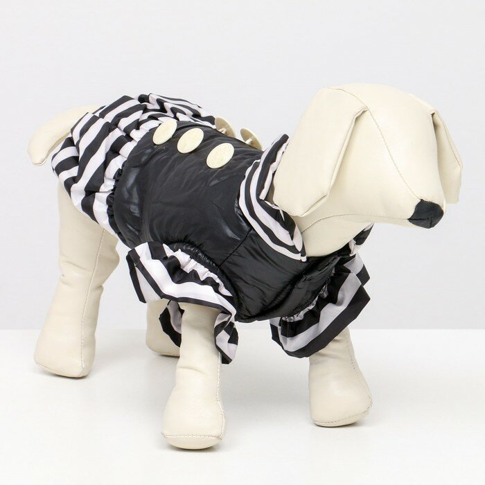 Курточка для собак с воланами, размер 3 (ДС 28,ОШ 30, ОГ 42 см), чёрная - фотография № 1