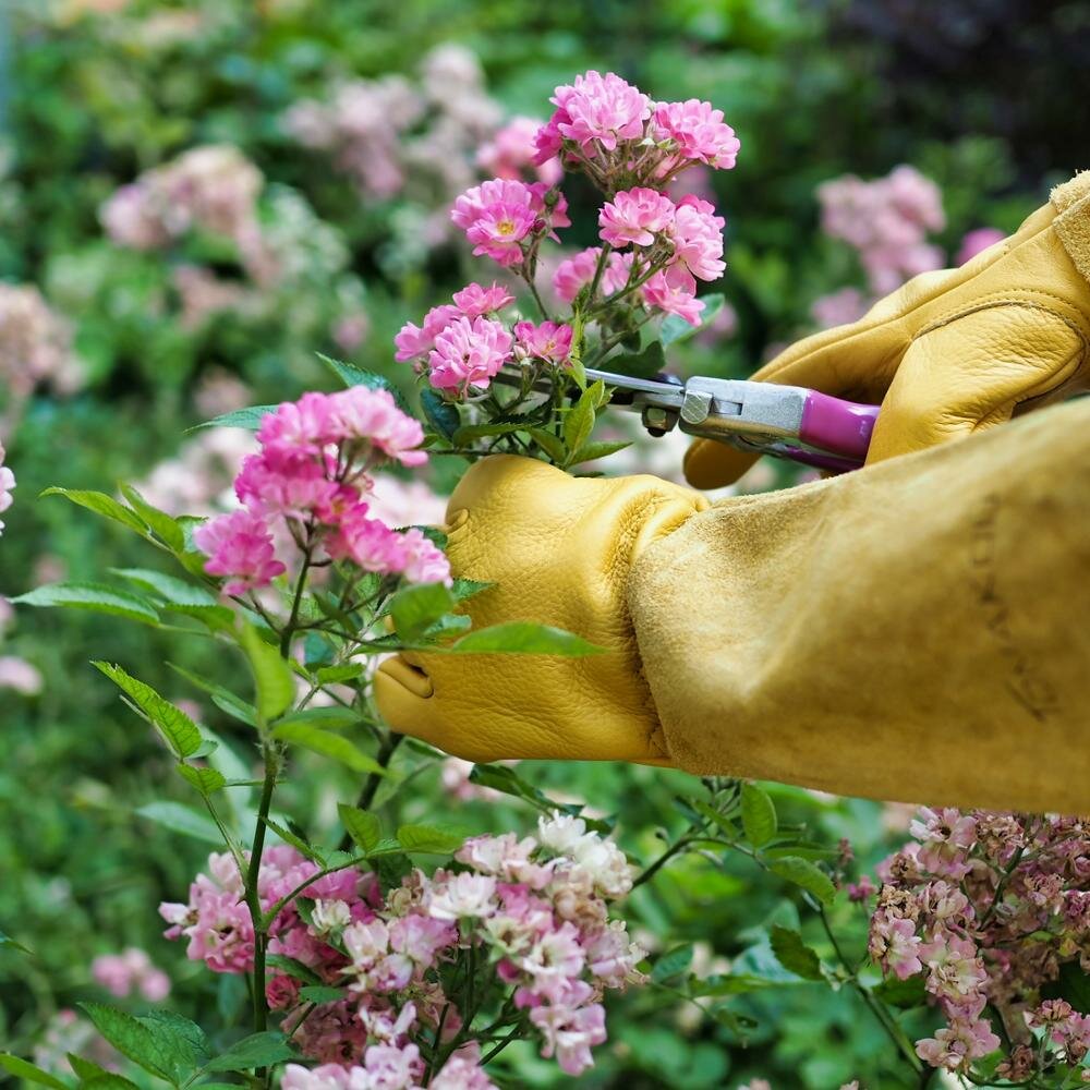 Садовые перчатки GARDEN SENSES 4ROSES (для обрезки роз) размер S - фотография № 4