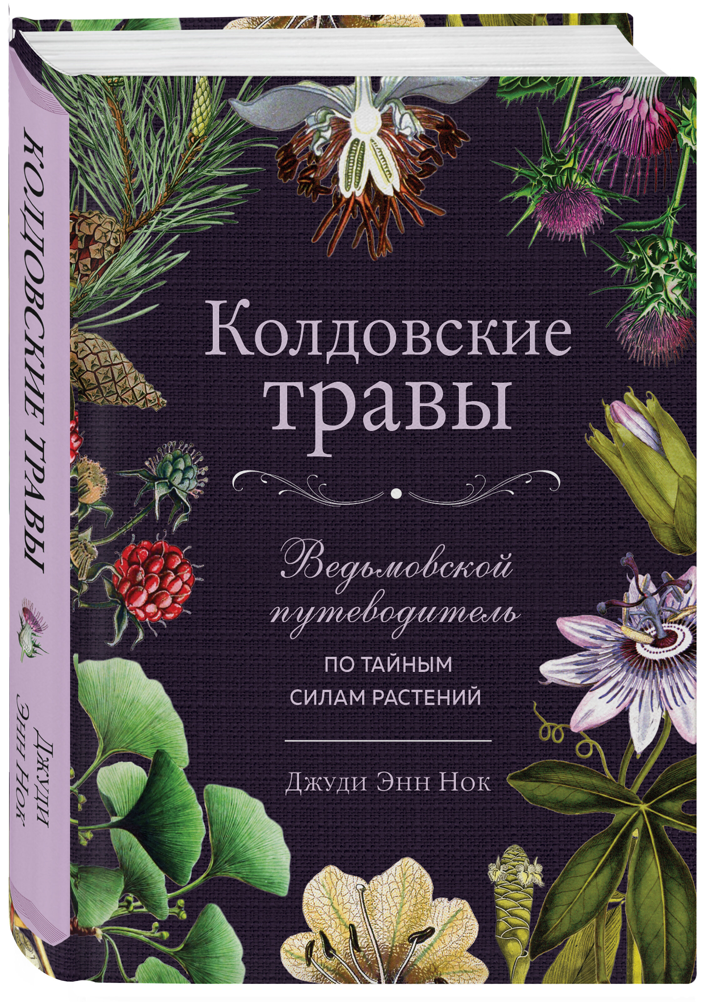 Колдовские травы: Ведьмовской путеводитель по тайным силам растений