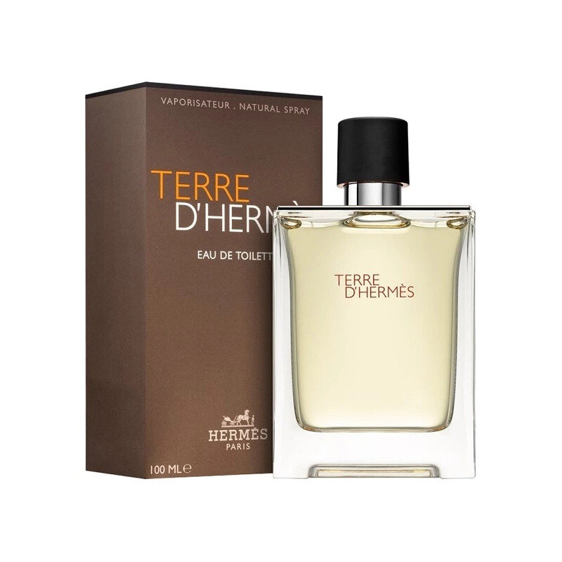 Hermes Terre D`Hermes   100   