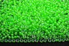 Бисер японский MIYUKI круглый 11/0 #1120 зеленая мята, luminous, 10 грамм - изображение